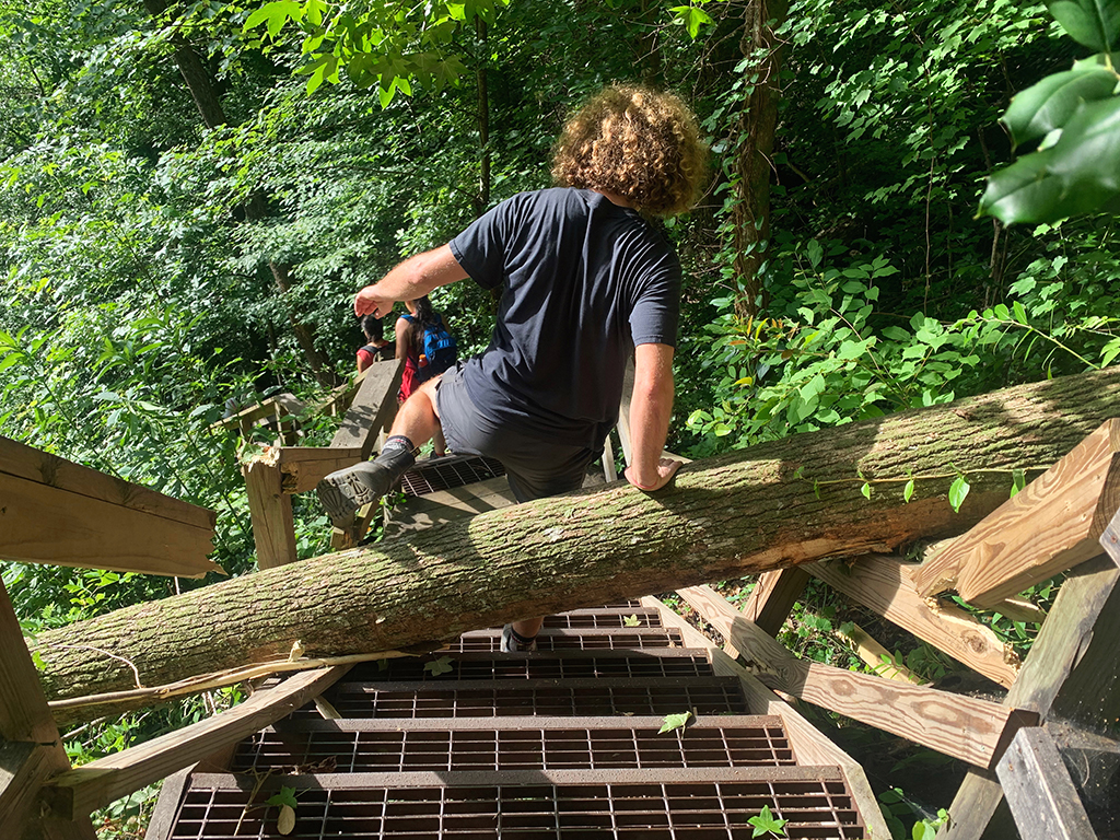man jumping over a fallen tree on trail stairs