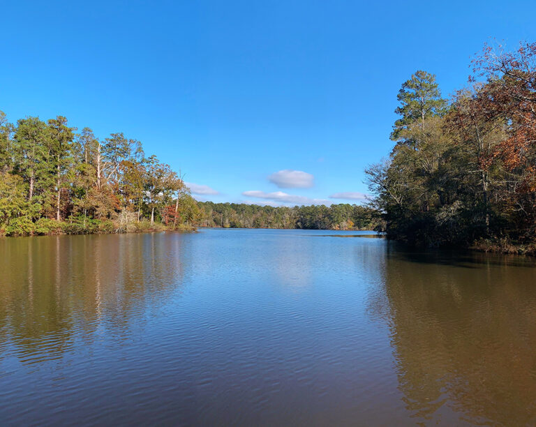 Hard Labor Creek State Park