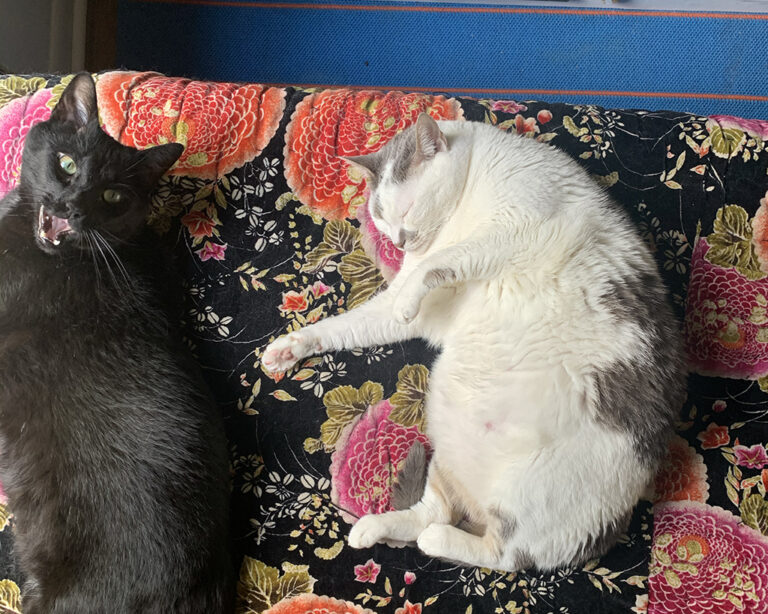 What I Spend In A Month | October 2024