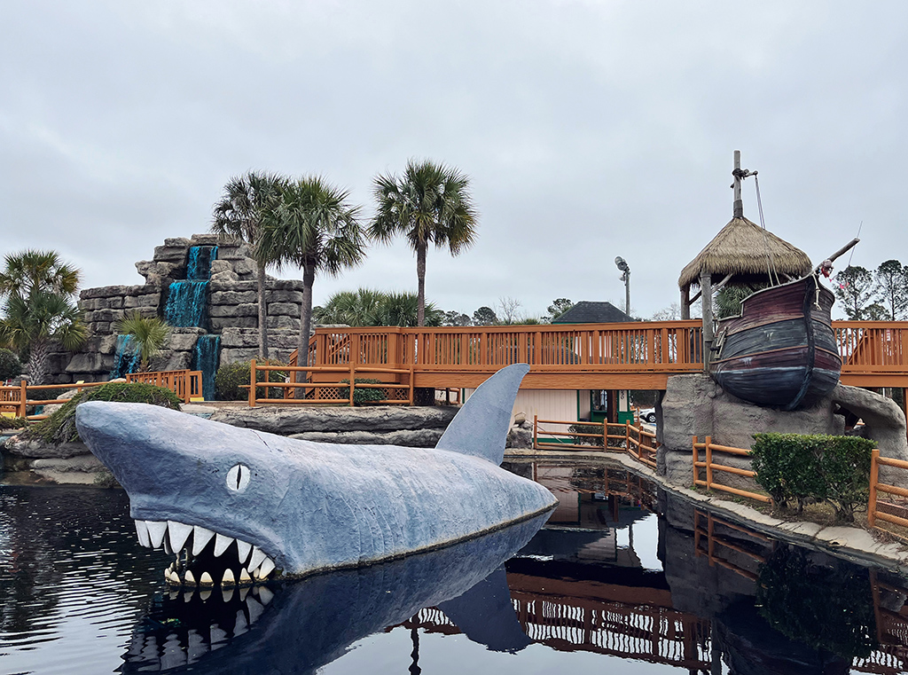 a shark sculpture and palm trees at Rainbow Falls mini golf