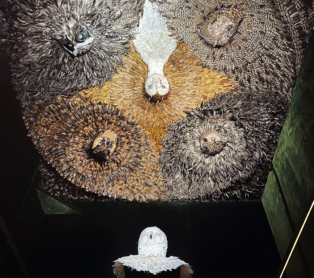 a ceiling covered in owl faces and feathers