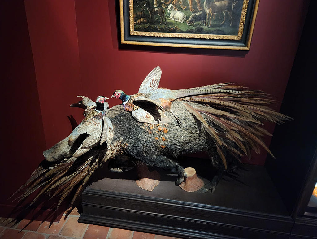 a taxidermy boar covered in two birds in front of a dark red wall